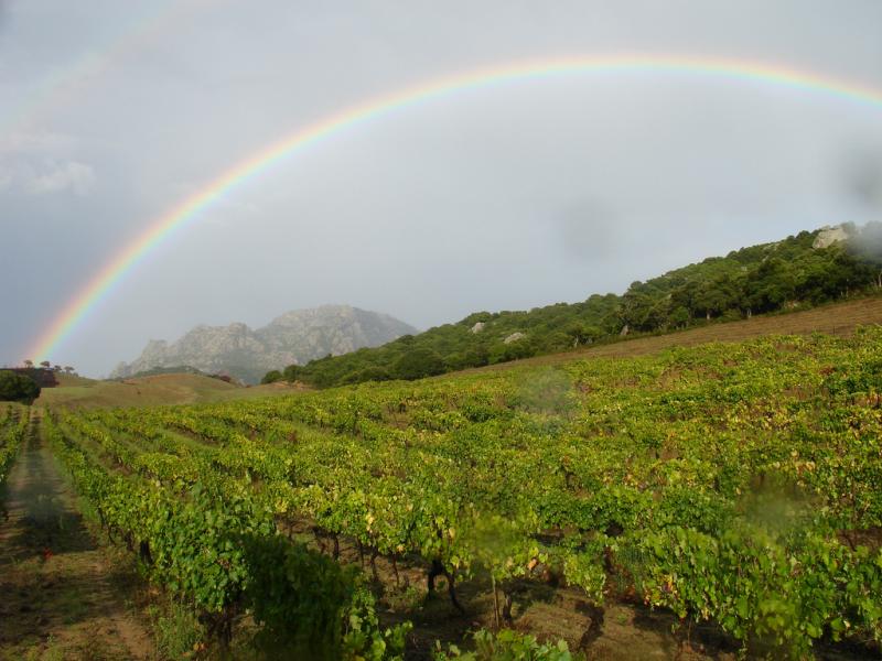 Corsica Island TK/F4CZU  Corsica Island TK/F4CZU