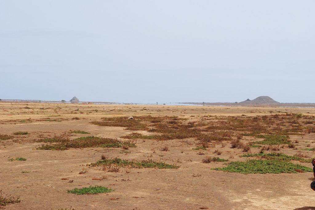 D4IA Остров Сал, Кабо Верде. DX Новости. D4IA Остров Сал, Кабо Верде. DX Новости.