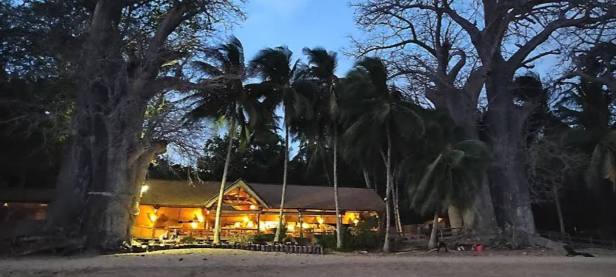 D60DX Comoro Islands DX News