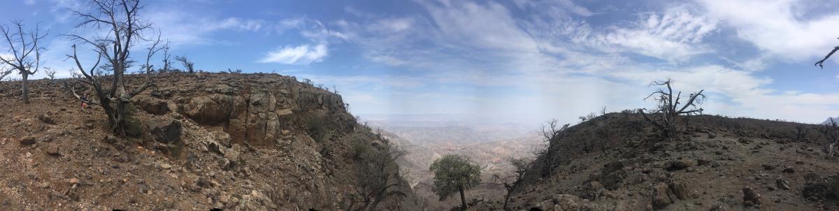 Национальный парк Форе дю Дей, Джибути  Национальный парк Форе дю Дей, Джибути