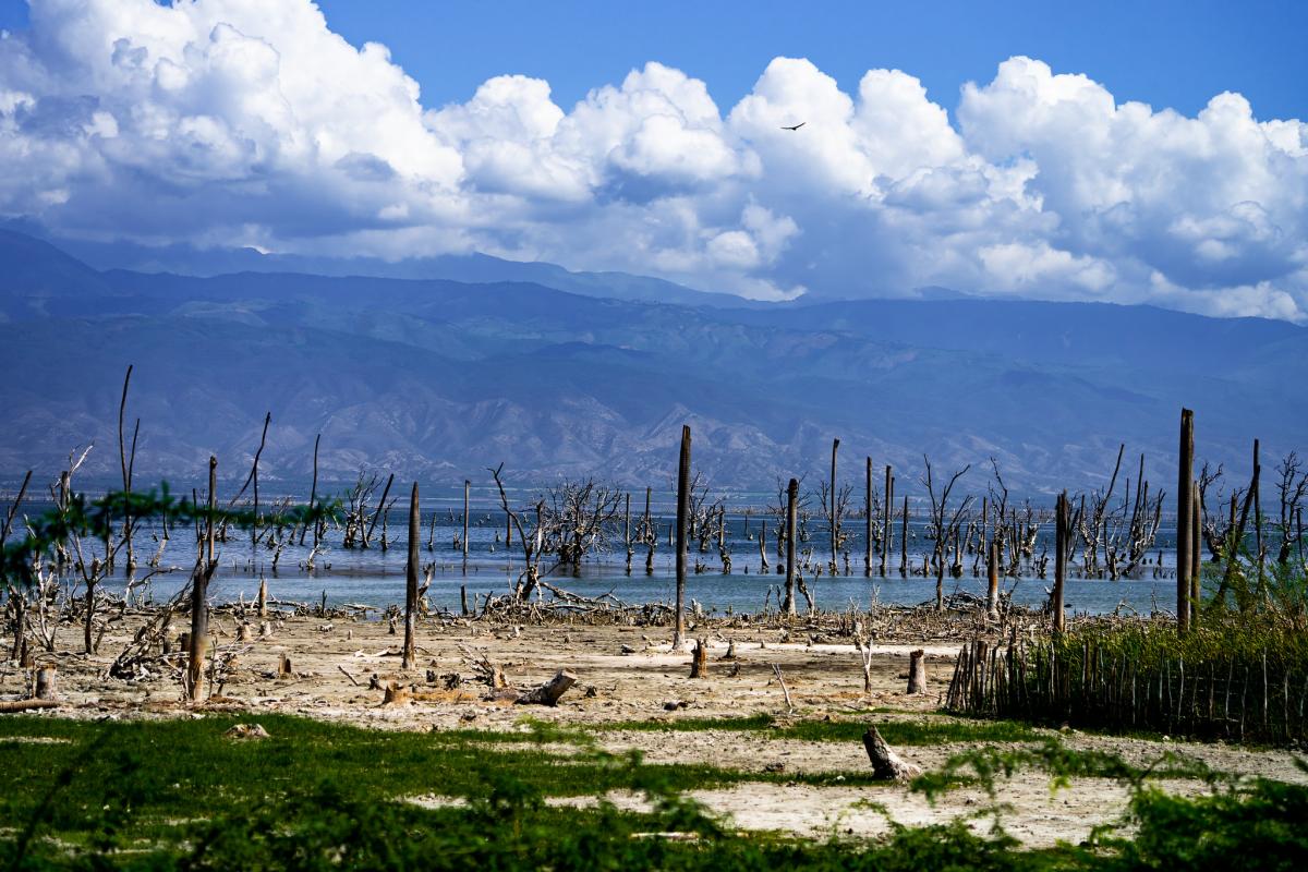 Озеро Энрикильо, Доминикана, Доминиканская Республика Озеро Энрикильо, Доминикана, Доминиканская Республика