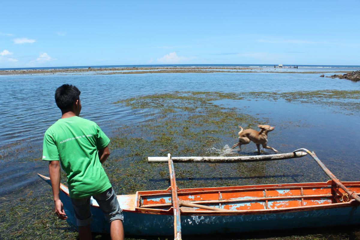 DU9/RZ3FW DU9/R4WAA Sarangani Island Sarangani Islands DX News  DU9/RZ3FW DU9/R4WAA Sarangani Island Sarangani Islands DX News
