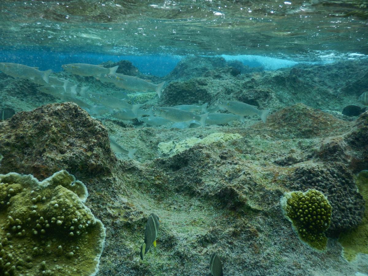 E6ET Niue Island Tourist attractions spot 