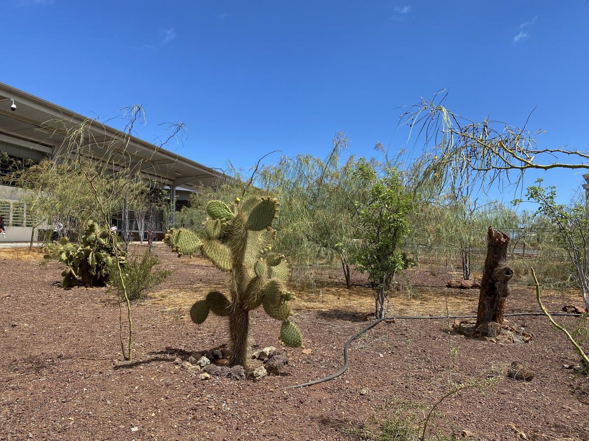 Аэропорт Сеймура, остров Бальтра, Галапагосские острова, Эквадор Аэропорт Сеймура, остров Бальтра, Галапагосские острова, Эквадор