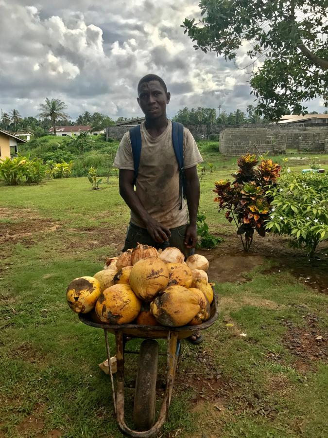 EL2EL Продавец кокосов, Бучанан, Гранд Басса, Либерия.