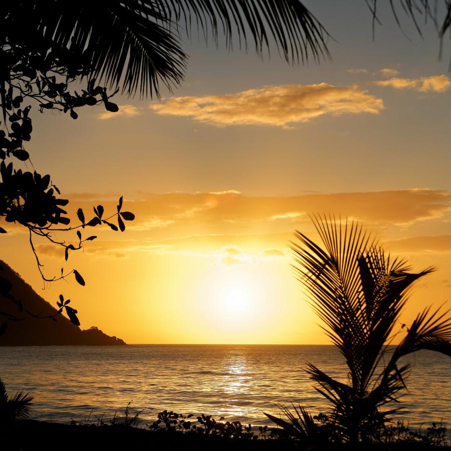 FG/OE6MBG Guadeloupe DX News FG/OE6MBG Guadeloupe DX News