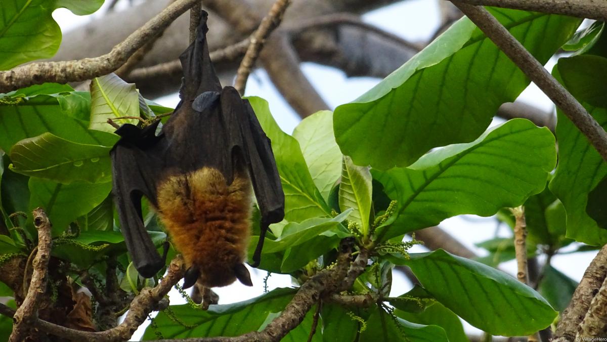 FH/UR9IDX Mayotte Tourist attractions spot