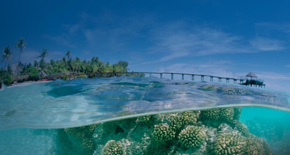 FO/JI1JKW Fakarava Atoll Tuamotu Archipelago, French Polynesia DX News FO/JI1JKW Fakarava Atoll Tuamotu Archipelago, French Polynesia DX News