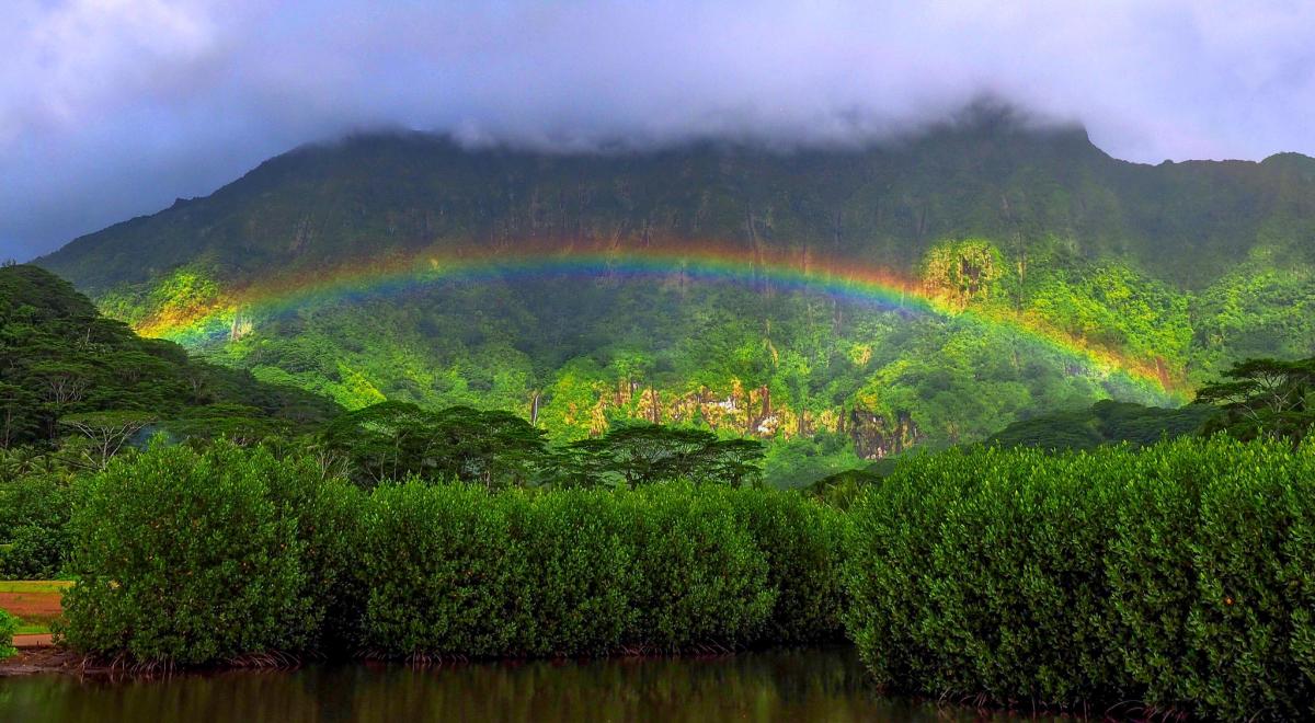 Радуга, гора Тефатуа, остров Раиатеа, острова Общества, Французская Полинезия Радуга, гора Тефатуа, остров Раиатеа, острова Общества, Французская Полинезия