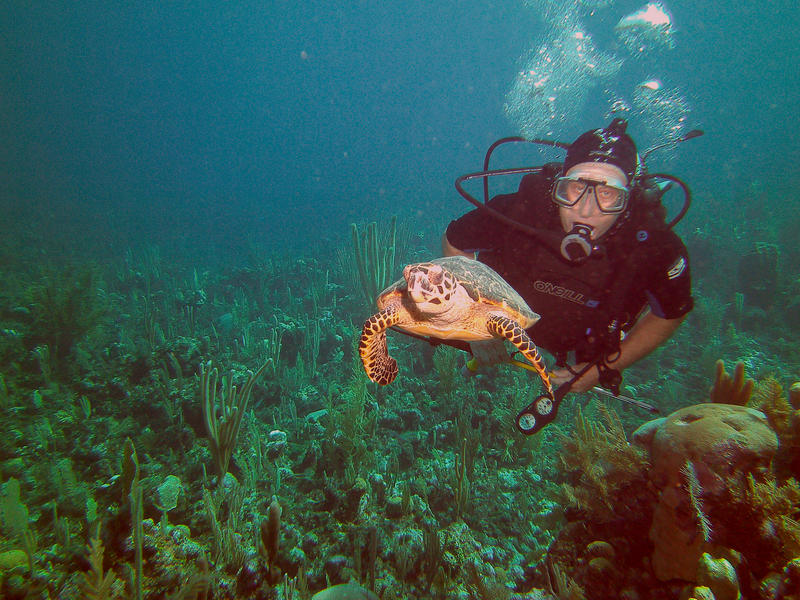 Grand Cayman Island ZF2AG  Grand Cayman Island ZF2AG