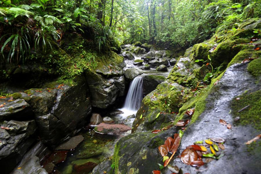 Guadeloupe FG/KB1TCD Tourist attractions spot 