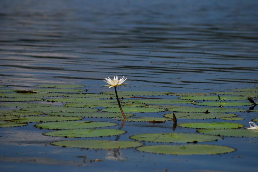 Гватемала TG7/KC0W DX Новости Гватемала TG7/KC0W DX Новости