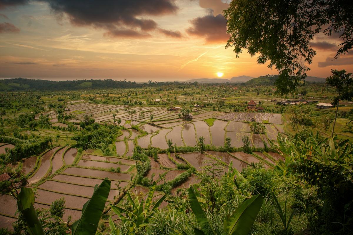Остров Бали, Индонезия Остров Бали, Индонезия