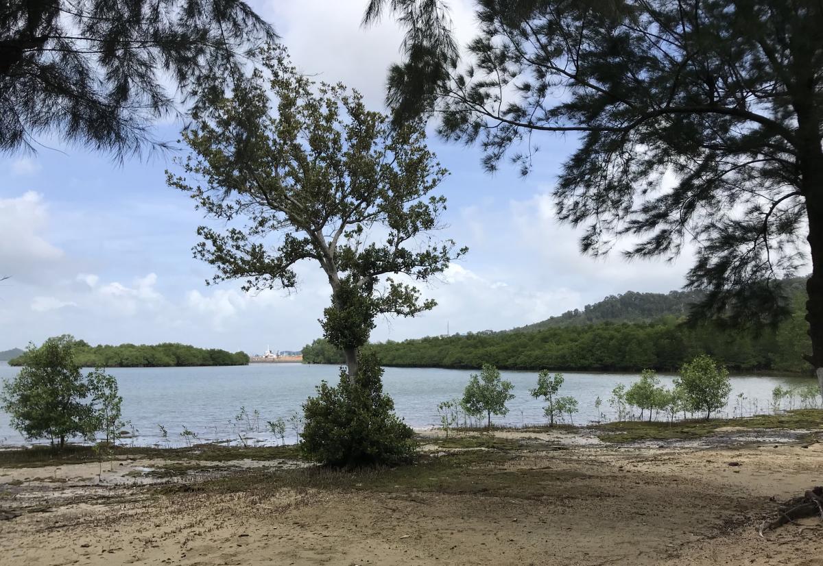 Остров Батам, острова Риау, Индонезия  Остров Батам, острова Риау, Индонезия