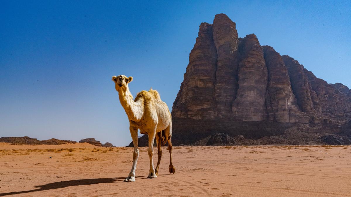 Семь столпов, пустыня Вади Рам, Иордания Семь столпов, пустыня Вади Рам, Иордания