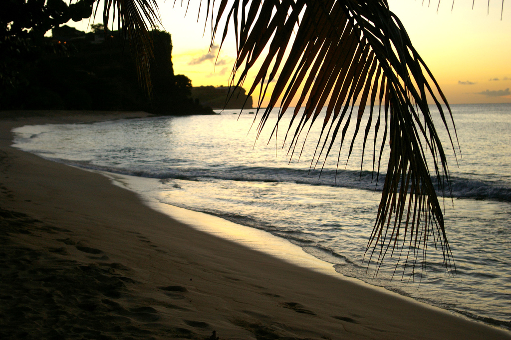 J3/G0VJG Grenada Island DX News J3/G0VJG Grenada Island DX News