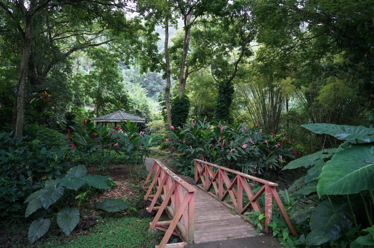 J8/UR5BCP Сент Винсент и Гренадины DX Новости J8/UR5BCP Сент Винсент и Гренадины DX Новости