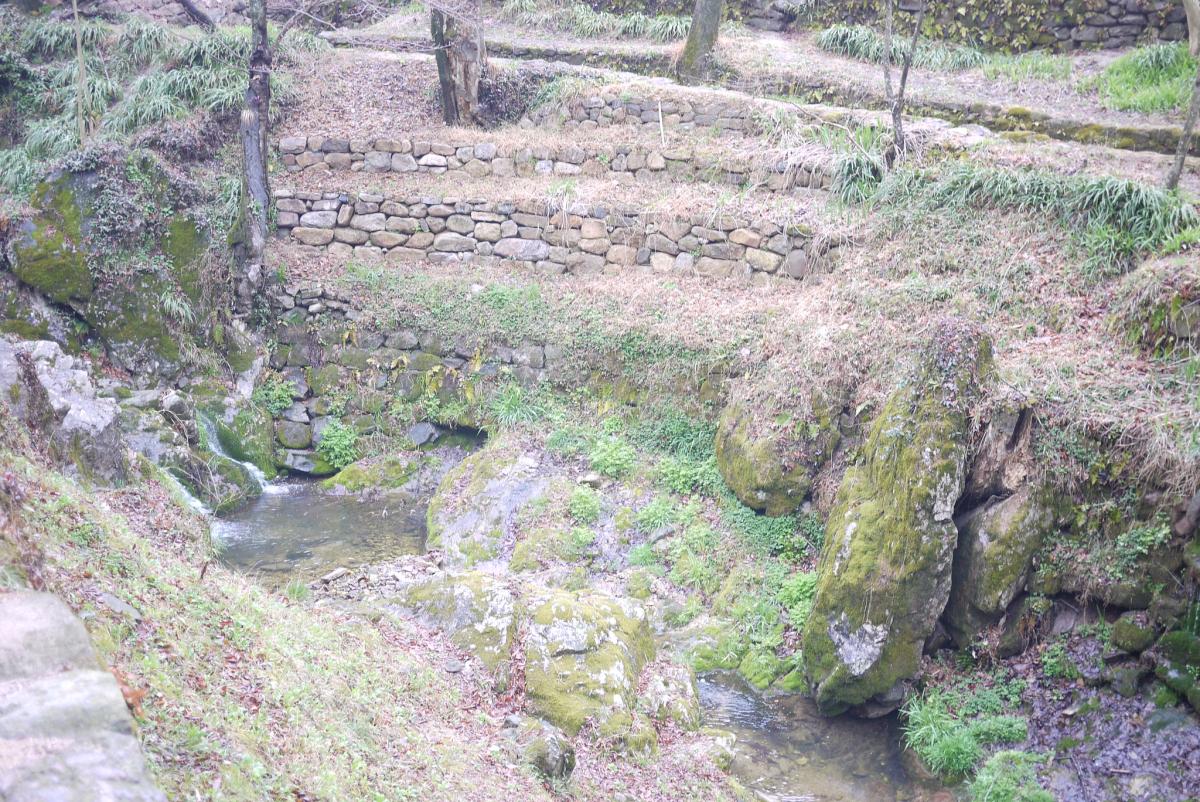 Тамян, Южная Корея Тамян, Южная Корея