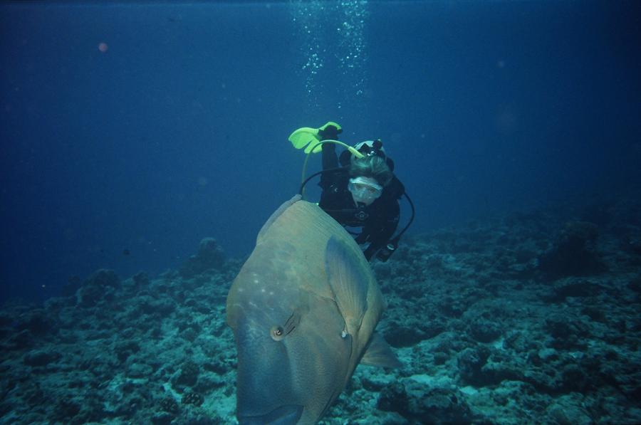 Koror Island T8VE DX News Palau Diving Koror Island T8VE DX News Palau Diving