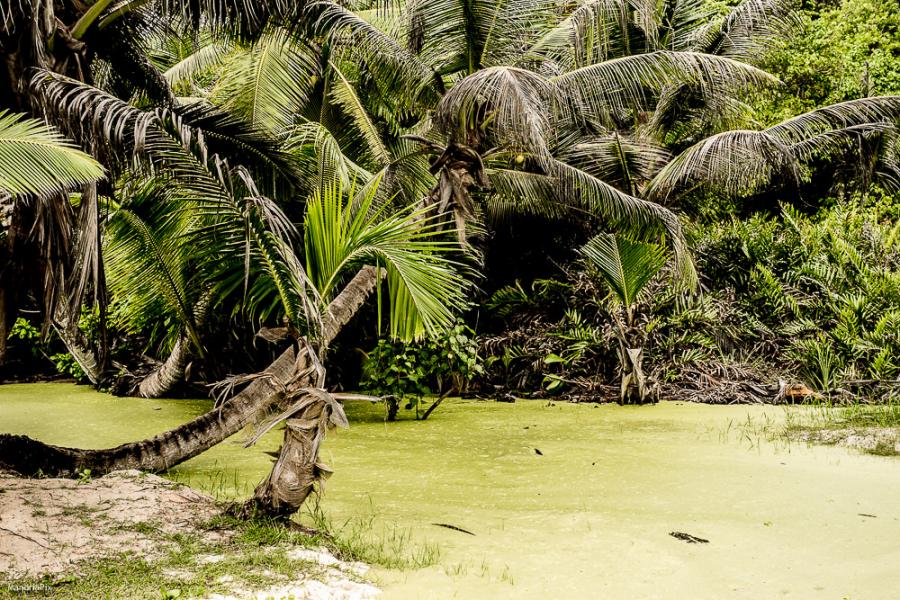 La Digue Island S79H Seychelles 