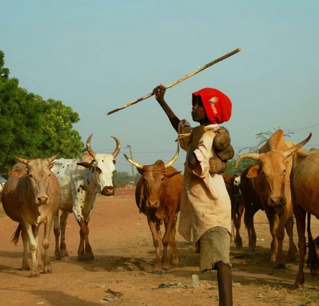 Мали TZ8TM DX Новости Мали TZ8TM DX Новости