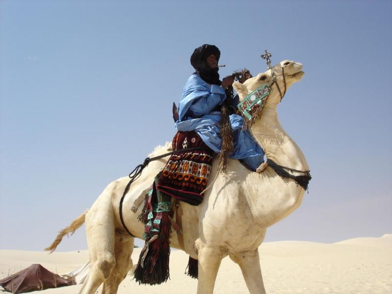 Мали TZ8TM  Мали TZ8TM