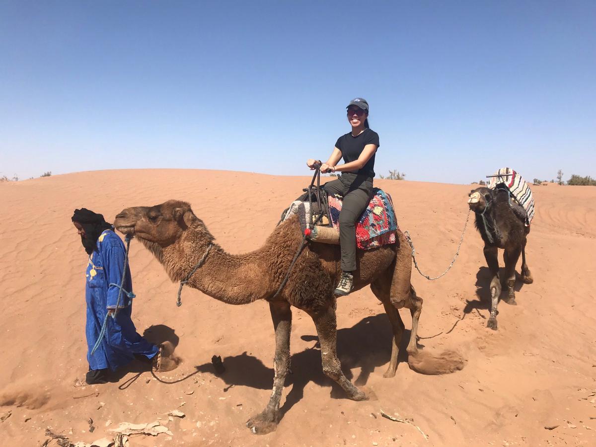 Верблюды, Сахара, Марокко Верблюды, Сахара, Марокко