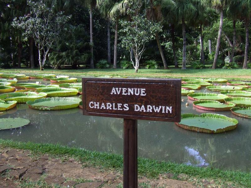 Mauritius 3B8/G3TXF Avenue Charles Darwin.