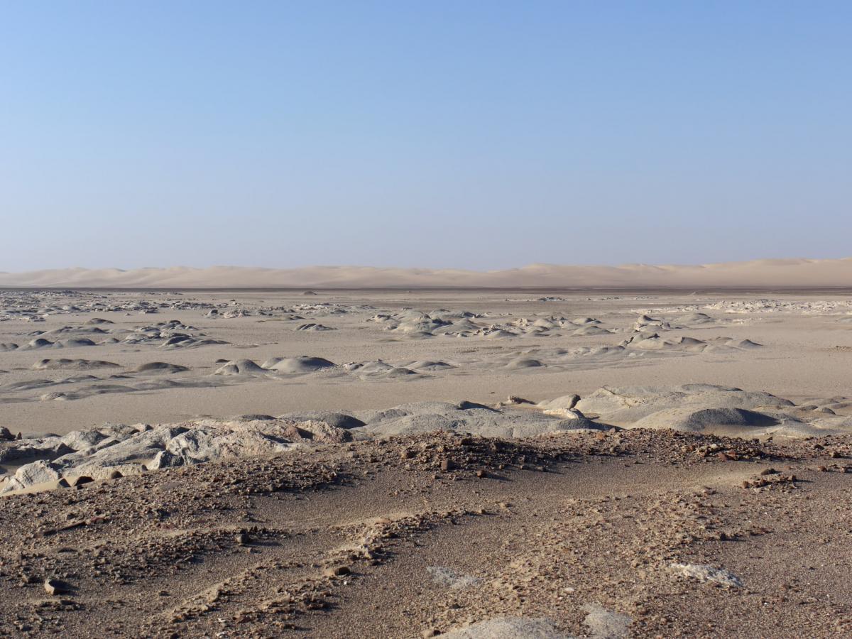 Берег скелетов, Намибия Берег скелетов, Намибия