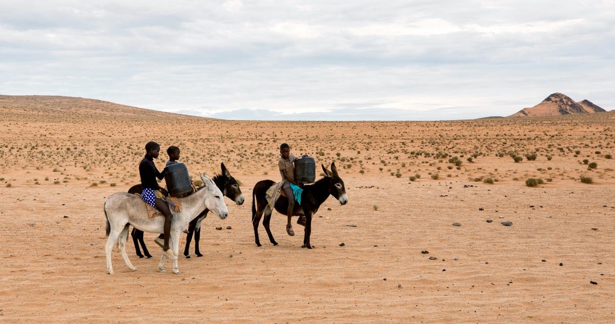 Дети племени Химба, долина Кунене, Намибия Дети племени Химба, долина Кунене, Намибия