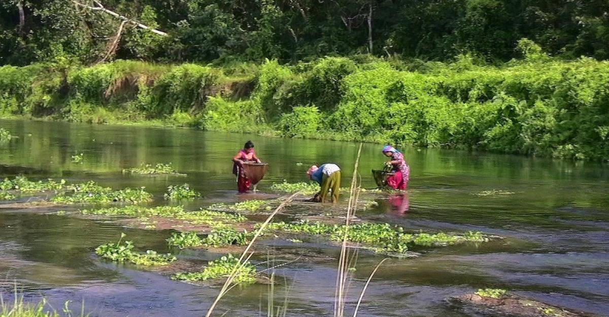 Рыбалка, Королевский Национальный парк Читван, Непал Рыбалка, Королевский Национальный парк Читван, Непал