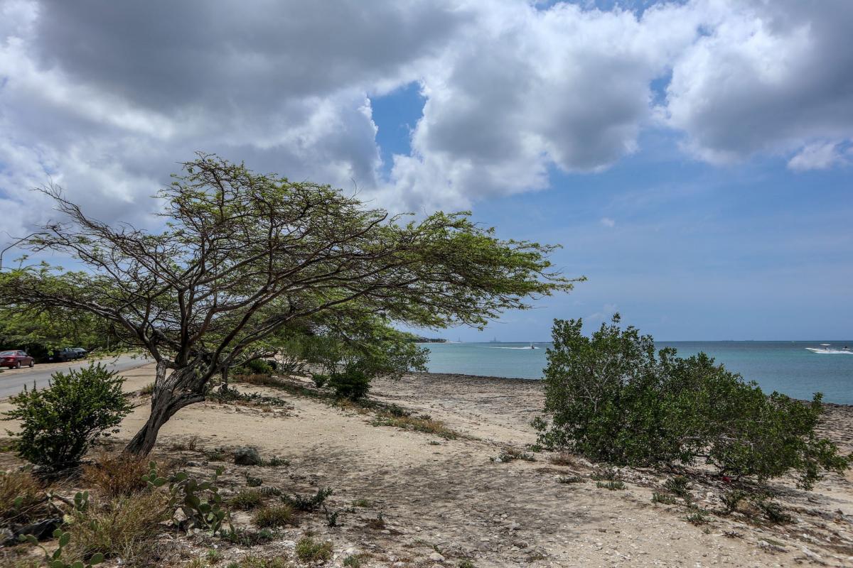 P4/NN5E P4/NT5V Остров Аруба Туристические достопримечательности P4/NN5E P4/NT5V Остров Аруба Туристические достопримечательности