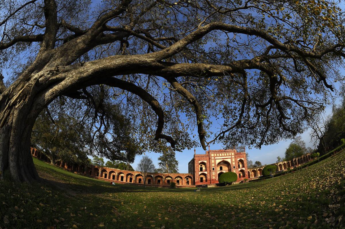 Акбери Сару, Пакистан Акбери Сару, Пакистан