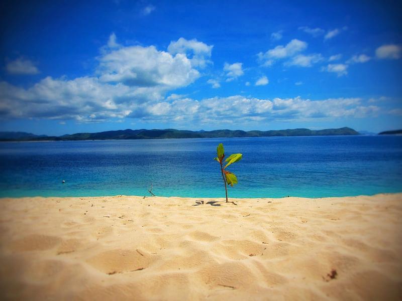 Остров Палаван DU1/KE0BRZ DX Новости Остров Палаван DU1/KE0BRZ DX Новости