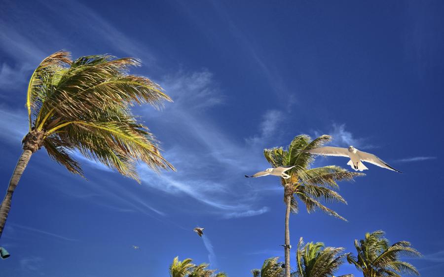 Остров Парадайз C6ABD Туристические достопримечательности Отель Атлантис. Остров Парадайз C6ABD Туристические достопримечательности Отель Атлантис.