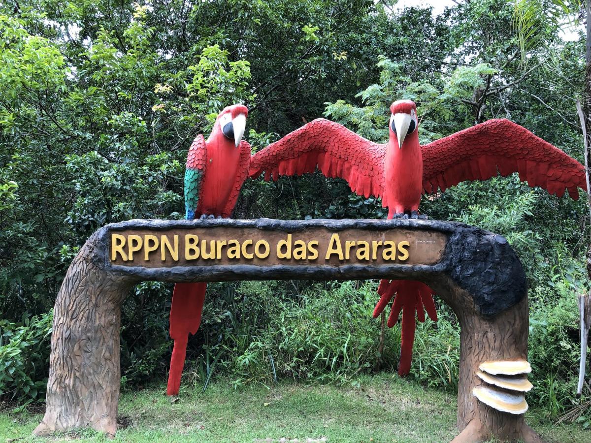 Бурако дас Арарас, Парагвай Бурако дас Арарас, Парагвай