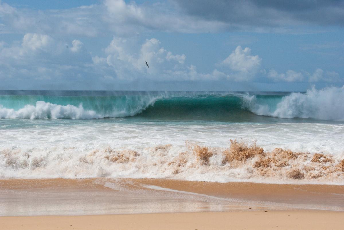 PX0FF Fernando de Noronha Tourist attractions spot PX0FF Fernando de Noronha Tourist attractions spot