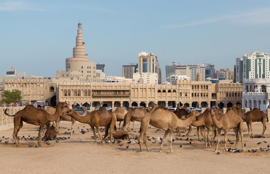 Катар ирак. Доха дворец шейха. Доха Катар достопримечательности. Катар Иордания. Обзорная экскурсия по Дохе.