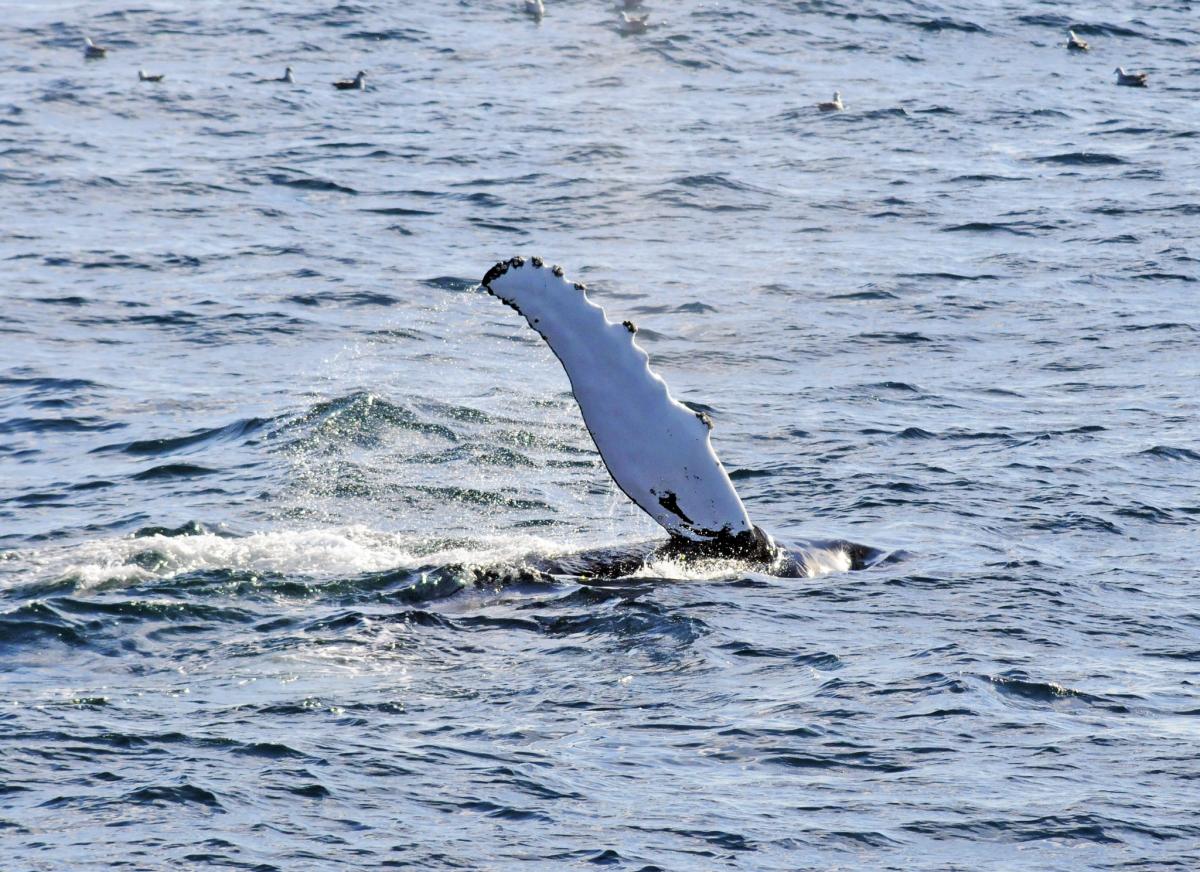 RI1FJL ����� ������ ������ ������������� ���������������������