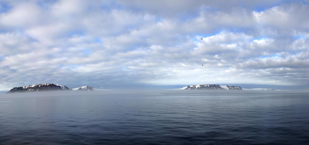 RI1FJL ����� ������ ������