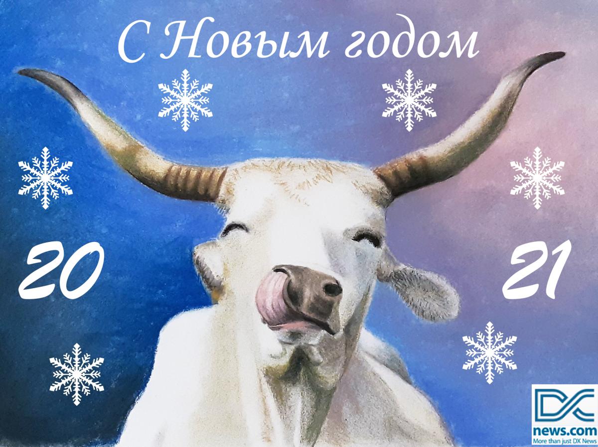 С Новым 2021 Годом и Рождеством Христовым С Новым 2021 Годом и Рождеством Христовым