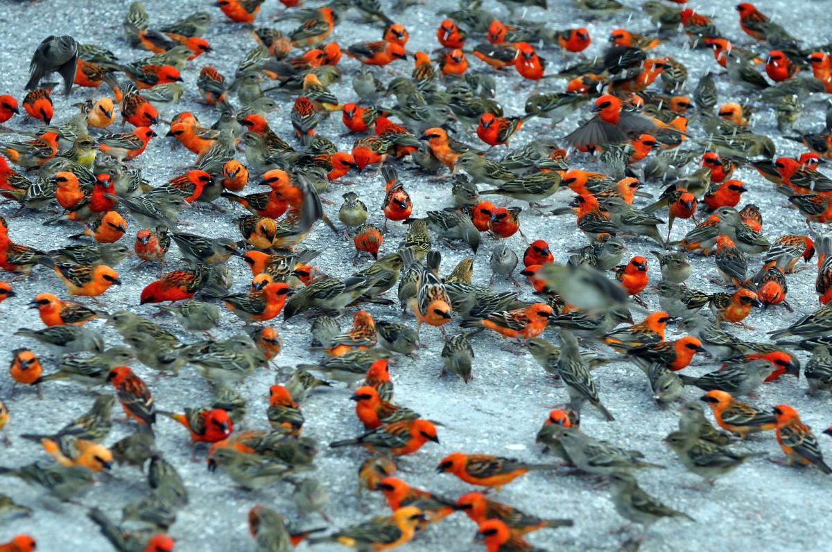 S79LD Seychelles Islands