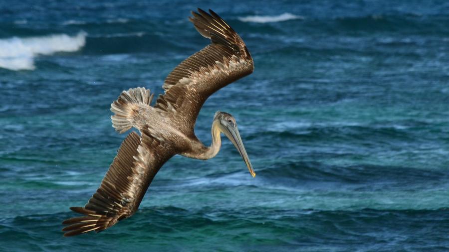 Saint Vincent and Grenadines Islands J8/AK4T DX News