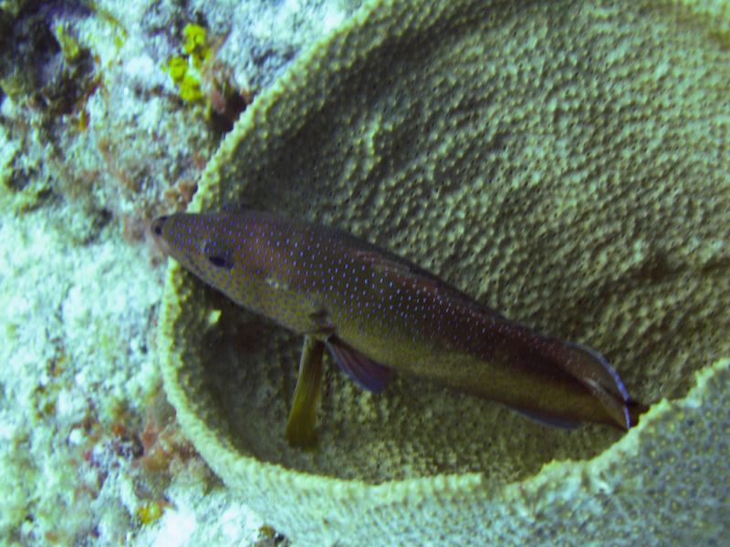 Saint Vincent and Grenadines J8/AK4T Tourist attractions spot Saint Vincent and Grenadines J8/AK4T Tourist attractions spot