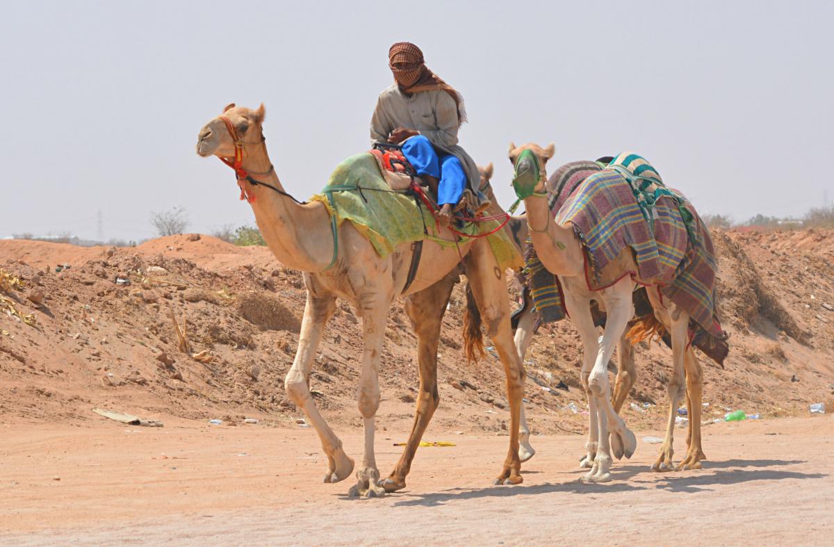 Саудовская Аравия Саудовская Аравия