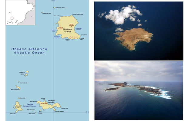 Selvagens Islands CQ9GXC DX News Selvagens Islands CQ9GXC DX News