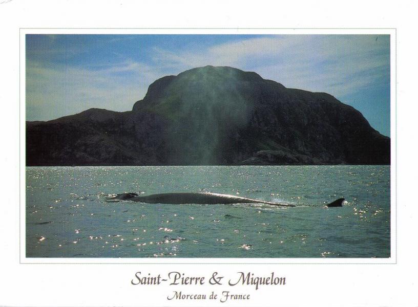 Saint Pierre and Miquelon Islands FP/M0WUT FP/M0BLF FP/DK2AB FP/G3ZAY FP/DH5FS FP/G7VJR DX News  Saint Pierre and Miquelon Islands FP/M0WUT FP/M0BLF FP/DK2AB FP/G3ZAY FP/DH5FS FP/G7VJR DX News