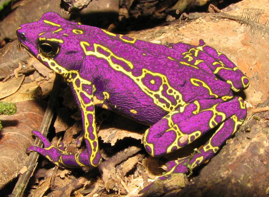  , .     .     2005 .