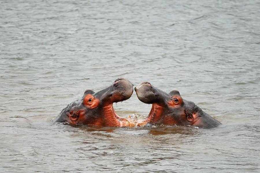 Swaziland 3DA0YL Touritst attractions spot