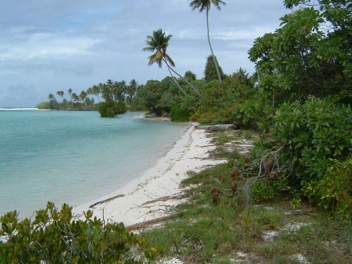 Noticias sobre el DX T30TTT de la isla Tarawa 2024